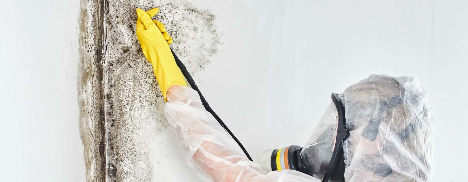 VlPZvHuWttQH-350AM title VlPZvHuWttQH-350AM alt